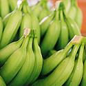 Green Bananas