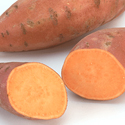 Sweet Potato